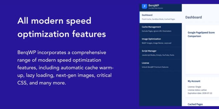 BerqWP Reviews: Automatic All-in-One PageSpeed Optimization Plugin