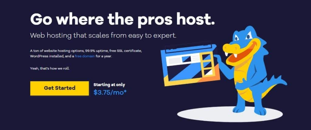 HostGator is one of the oldest and most recognized web hosting companies